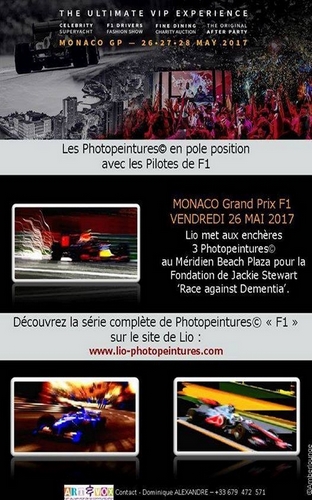 Lio Photopeintures