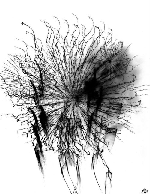 Lio-Photopeintures